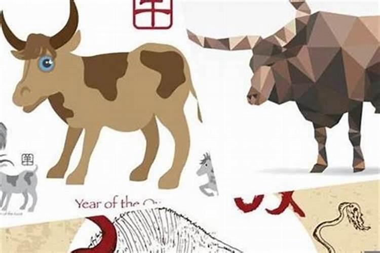 94年属狗和97年属牛八字合吗 两人属相相刑