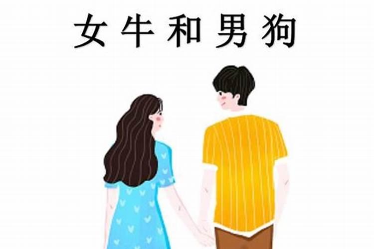 男狗女牛婚配好吗如何化解牛狗相刑