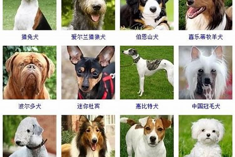 2025年5月22日出生的宝宝什么命