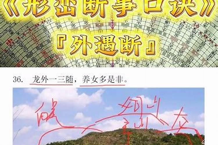 属马人2025年全年运势运程