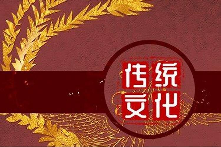 小鸡日记体重等级怎么看