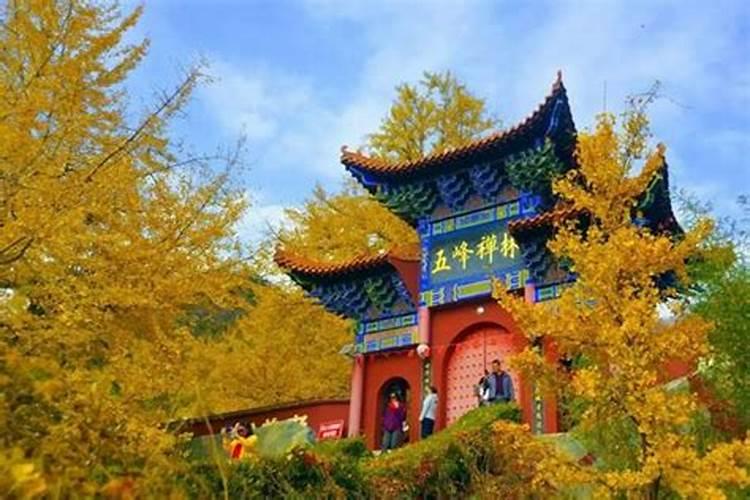 一个去世的人,假若没人烧纸会怎么样？只是迷信吗？