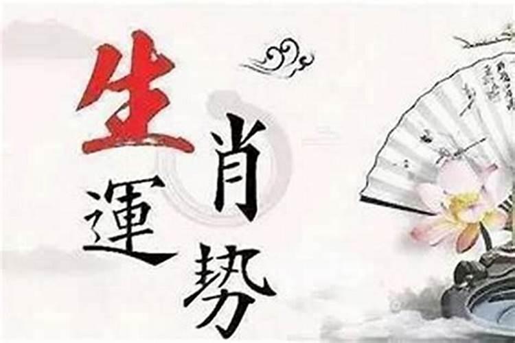 婚配先看五行还是生肖 合婚是算属相还是八字？
