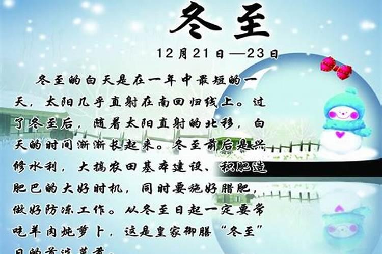 五月初五端午节什么生肖