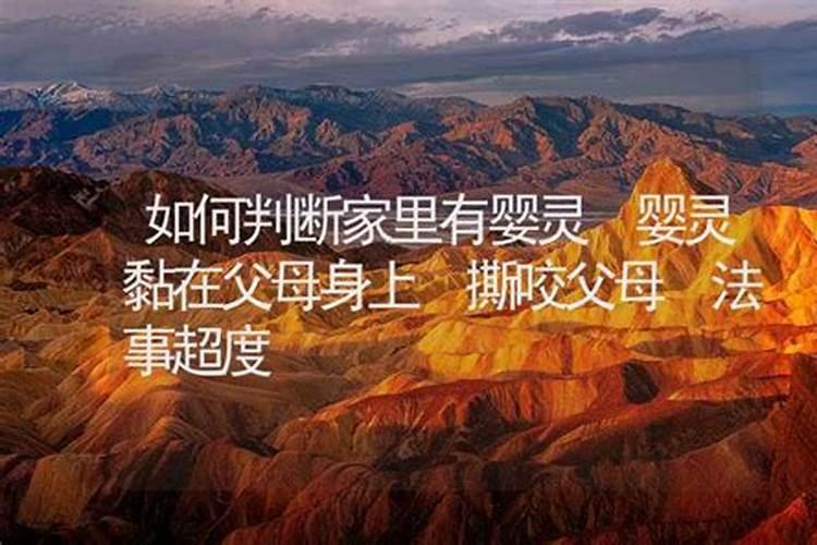 梦见牛顶我是什么意思？