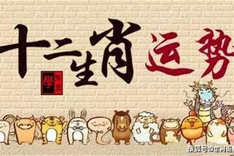 属兔的人2011年运程我是属兔1987年农历九月初九中午12:30 我2011年的...