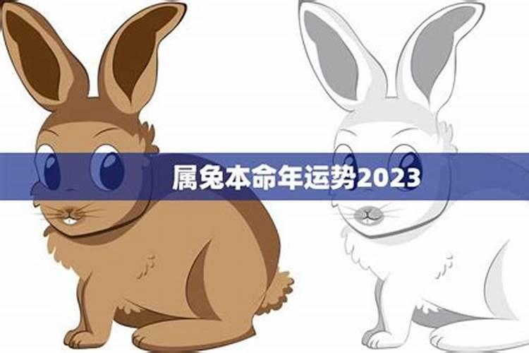 2025本命年蛇戴什么属相好