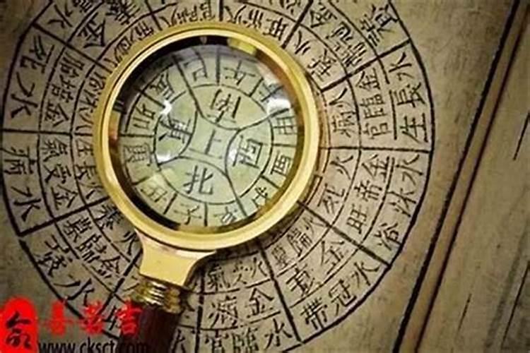 梦见大老鼠爬到我腿上的预兆
