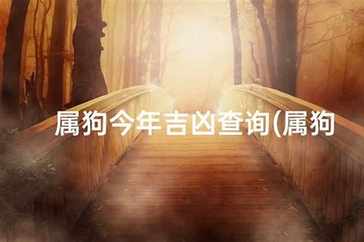 属狗人2025年全年运势运程免费 属狗2025年每月运势及运程详解