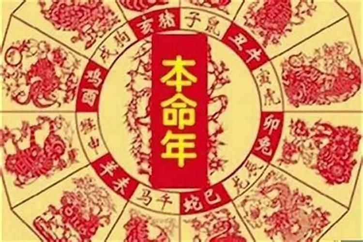 梦见三只大乌龟有什么预兆？是什么意思？