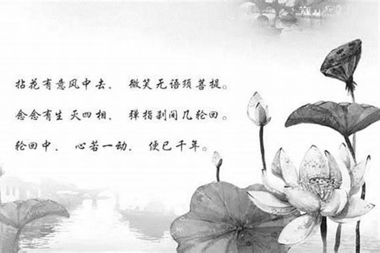 一般合八字合几个最好