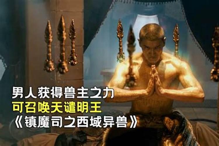 梦见黑狗的七大预兆是什么