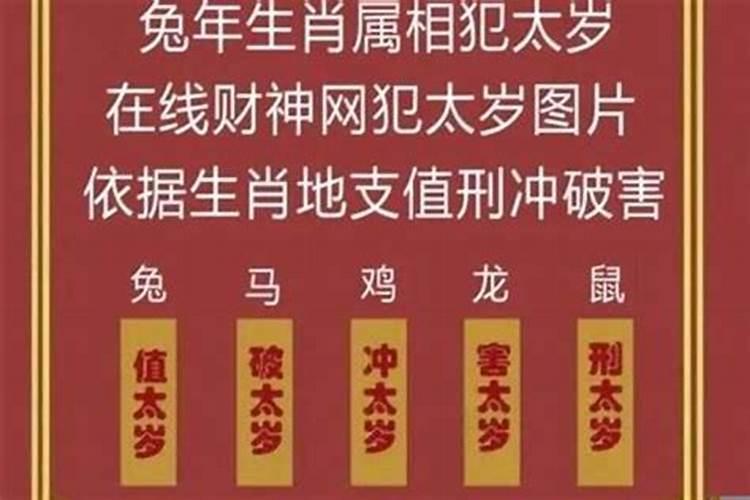 猴在蛇年犯太岁吗