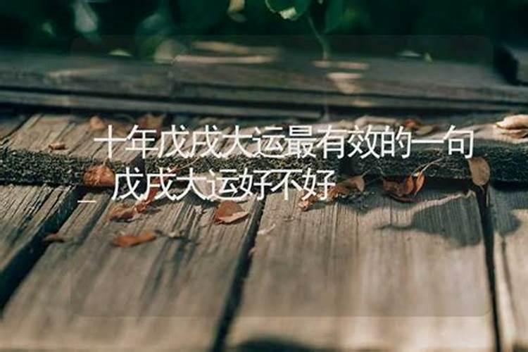 生肖知识历年犯太岁的生肖对照表
