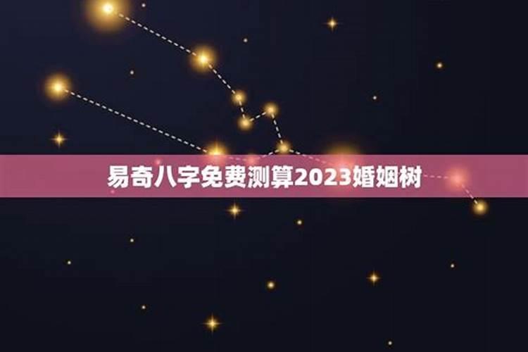 旺夫的婚姻树什么样