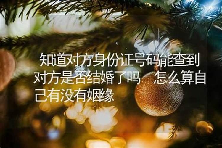 2025年腊月的蛇宝宝命运如何