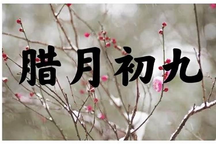 1月21日鼠年腊月初九出生的宝宝命运分析