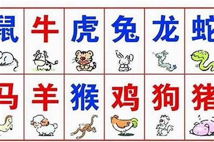 1979年属羊人农历4月初4的命运