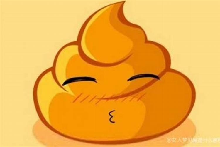 河南项城袁世凯故居有介绍吗？