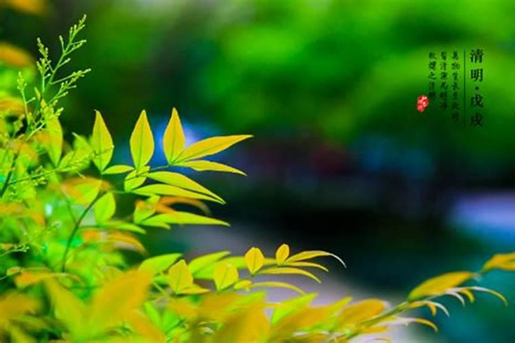 北京安太岁有名的寺庙,山东哪个寺庙可以化太岁