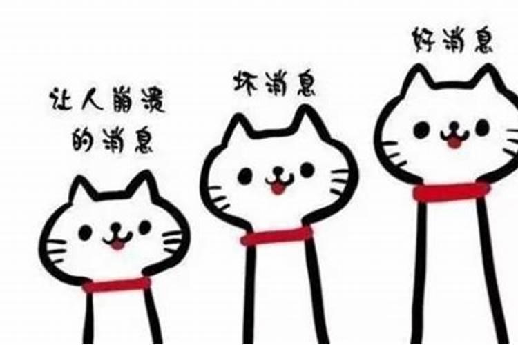 植物也有生物钟吗？