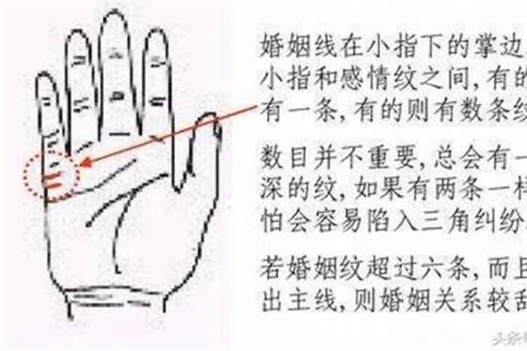 农历3月出生属猪人命好吗
