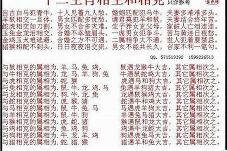 属龙男人和属狗女人相配吗