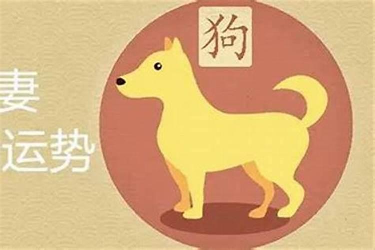 属相婚配:男属龙和女属狗相配吗