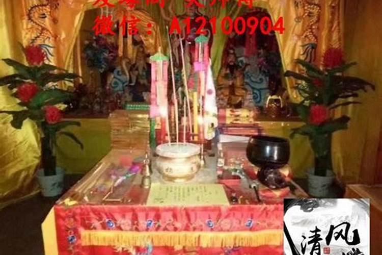 1975属兔女在2025年的每月运势