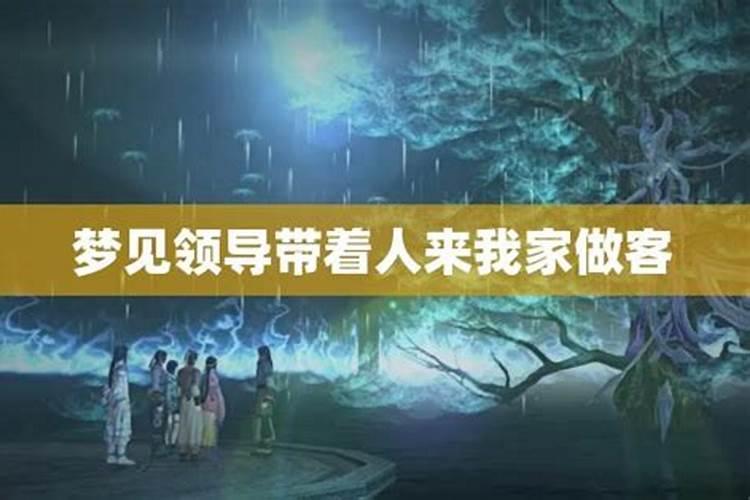 属相马在二零二五年的运势