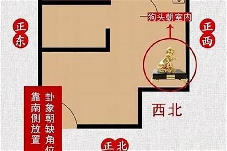 为什么有些人总是多灾多难？