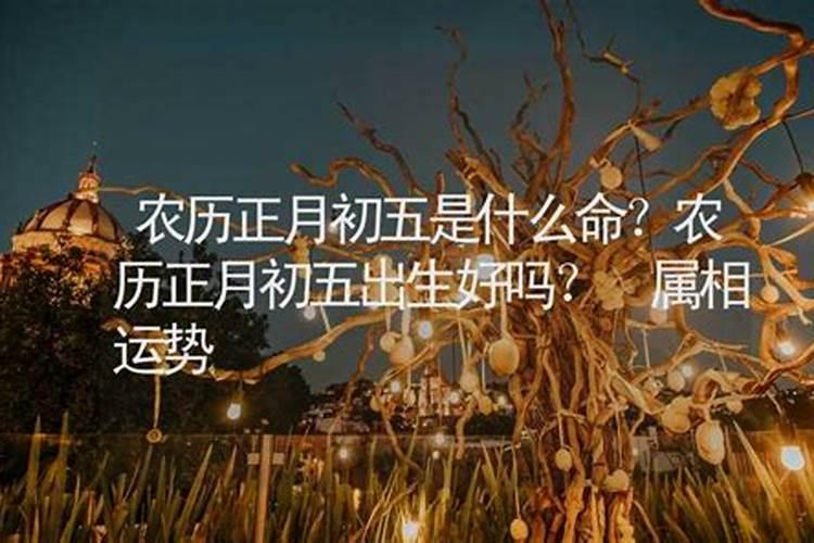 初一到十五分别对应的神仙是谁？