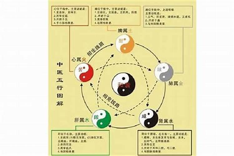 属猪腊月出生命运如何