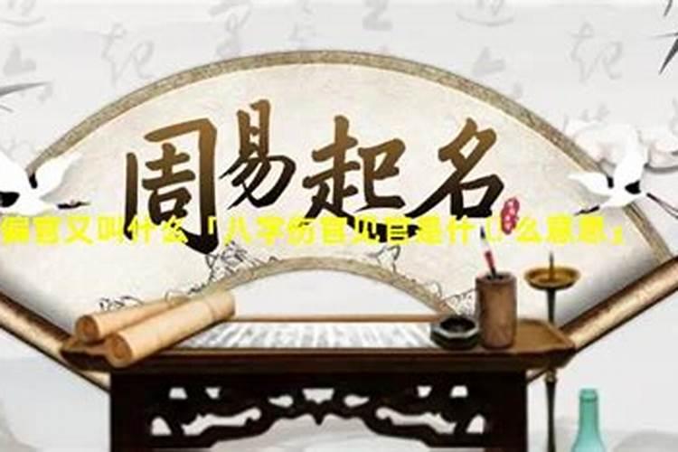 贵州石阡最出名的美食