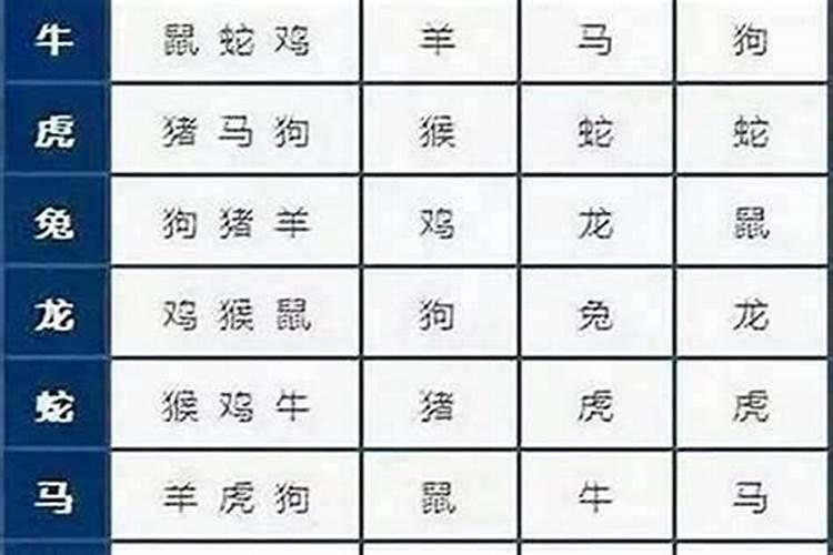 属龙和属猪的婚姻怎样猪和龙能过一辈子吗