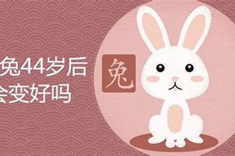 属兔人今日运势(属兔人今日打麻将运势及偏财运如何)