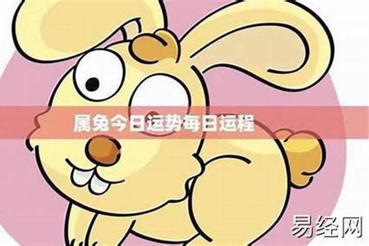 属兔2025年5月21日运势