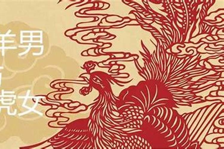 属虎和属羊的八字合吗,属羊和虎属相合不合