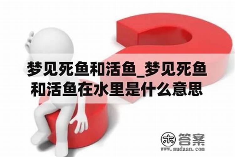 阴阳债怎么计算的？
