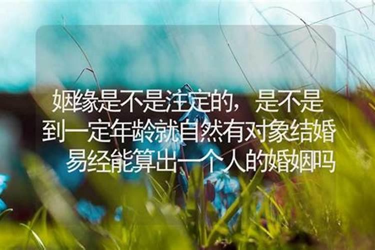 用英文介绍端午节的由来