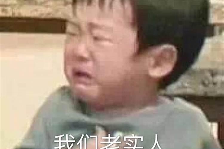 旺财是什么意思？
