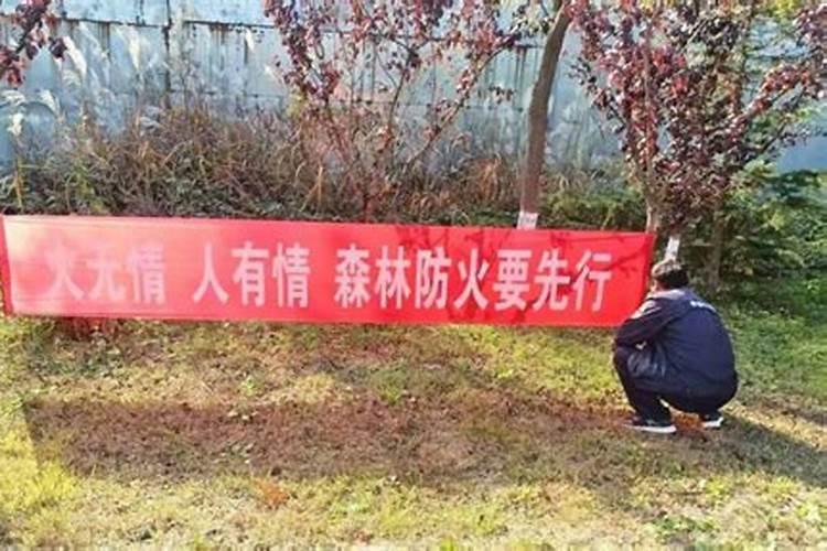 1996年阴历十月初一生的,命怎么样？