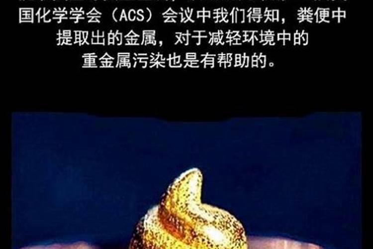 78年属马2025年运势如何