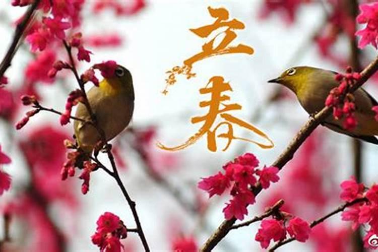 立春当天出生的孩子好不好 立春生孩子有什么说法