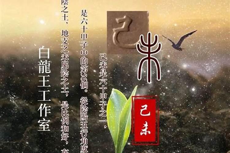 分享一下戊、己土日主,在2022壬寅年的一个整体情况