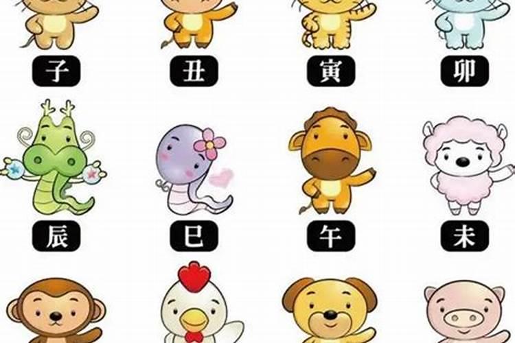 属狗月份出生的命运农历
