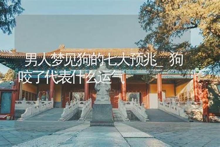 梦见和狗一起玩耍的预兆