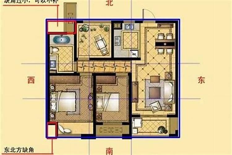 生肖蛇2025年运势及运程如何