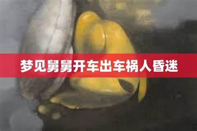 自己不会开车 梦里自己开车发生了车祸 有人死亡 有人吐血 还梦见挖到给...