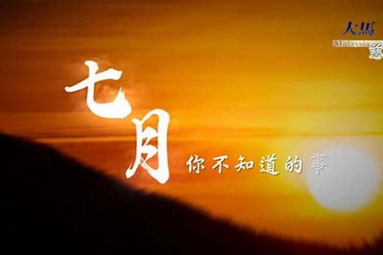 属猪和属鼠的合得来吗